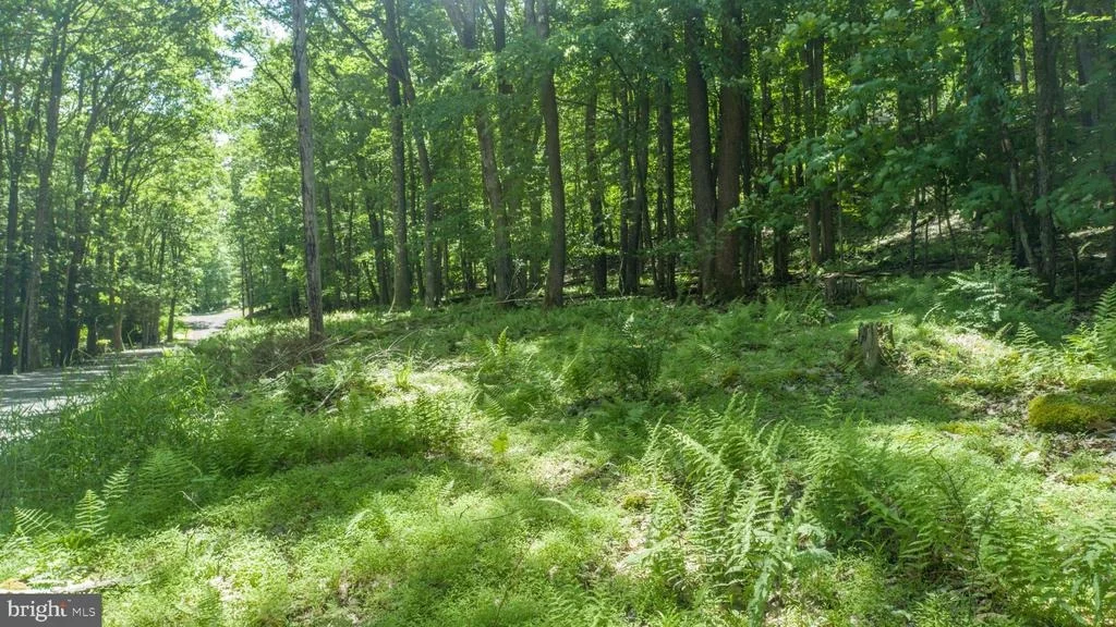 Photo of LOT 181 SANTA FE TRAIL