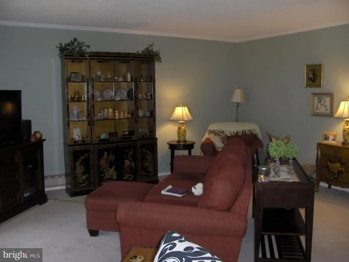 Photo of Unit 173C at 3511 FOREST EDGE DRIVE