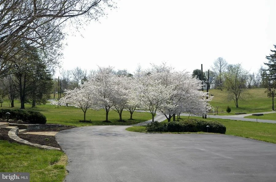 Photo of 330 SPRINGBROOK DRIVE