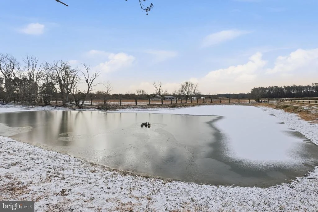 Photo of 20915 DOVER BRIDGE ROAD