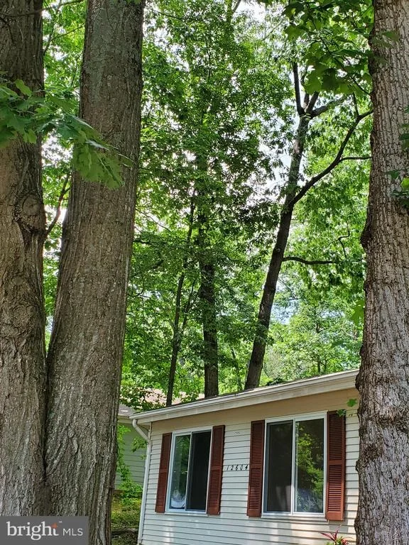 Photo of 12604 MILLBANK WAY