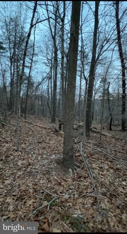 Photo of LOT 2, PARCEL 240 HARPERS FERRY ROAD