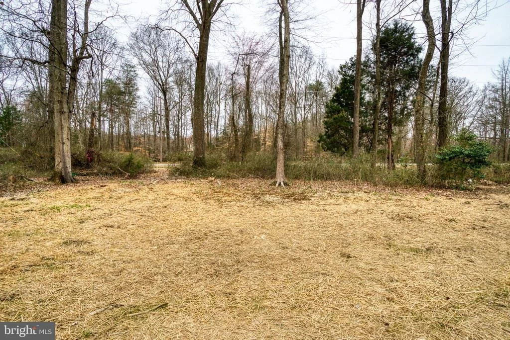 Photo of 4085 STEPNEYS PLACE