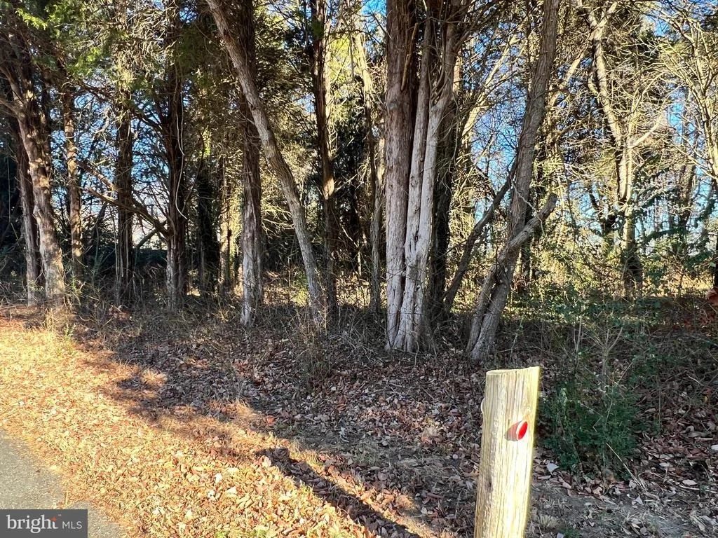 Photo of BAY DR