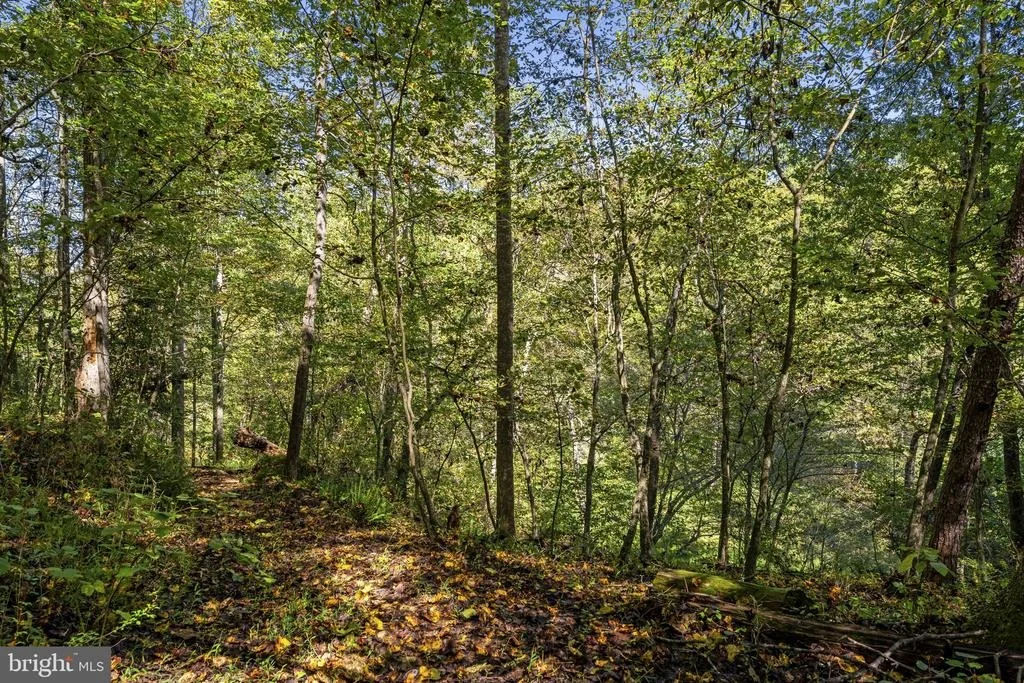 Photo of 207 GRAND VIEW ROAD