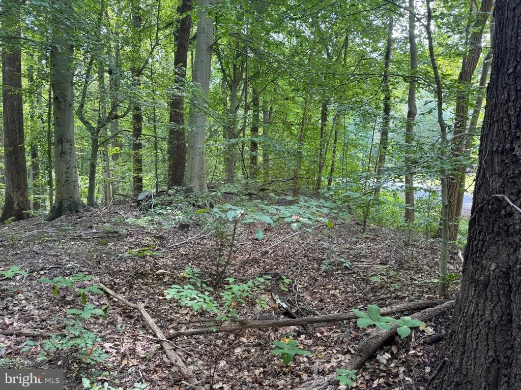 Photo of 4685 CAMP ROOSEVELT DRIVE