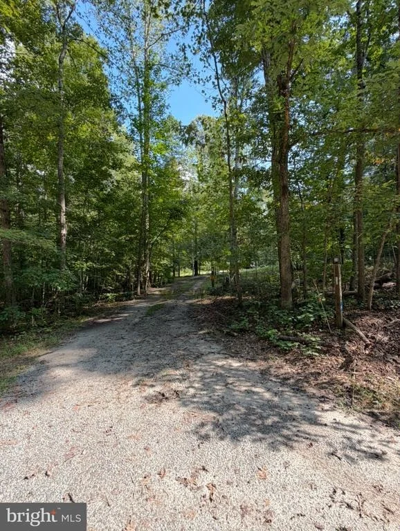 Photo of 11016 FOREST HOLLOW DRIVE