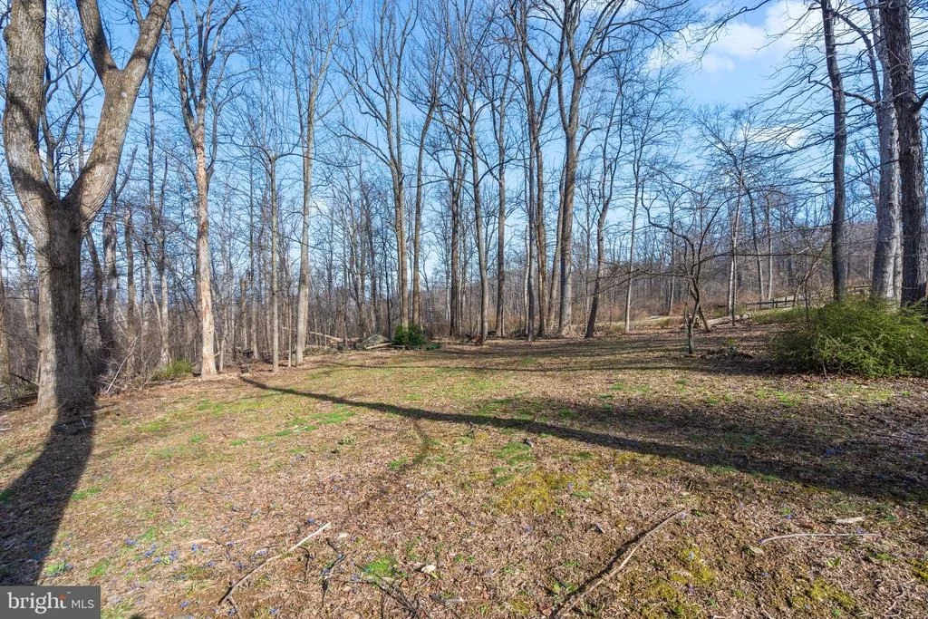 Photo of 17641 RAVEN ROCKS ROAD
