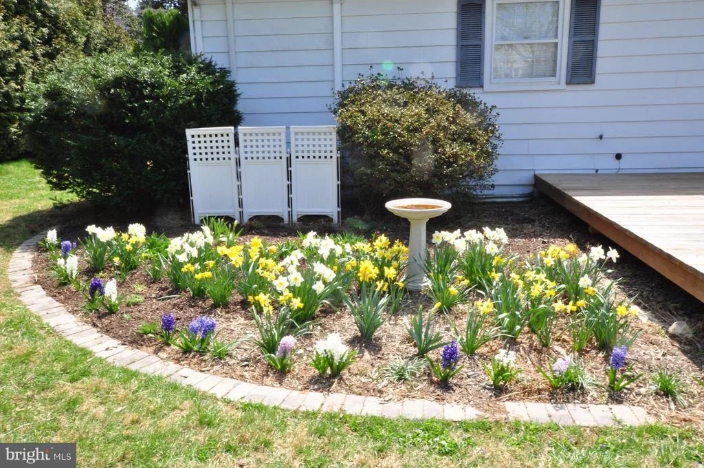 Photo of 10121 JOHNS DRIVE