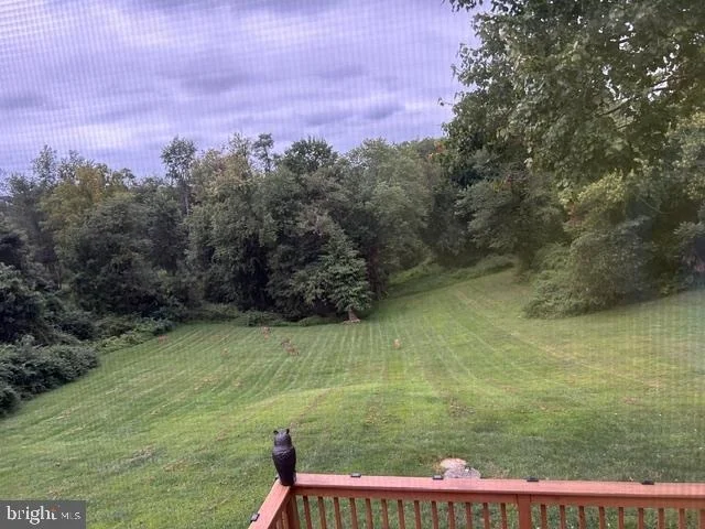 Photo of 2624 ROCKS ROAD