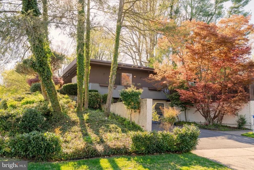 Photo of 3201 PAULINE DRIVE