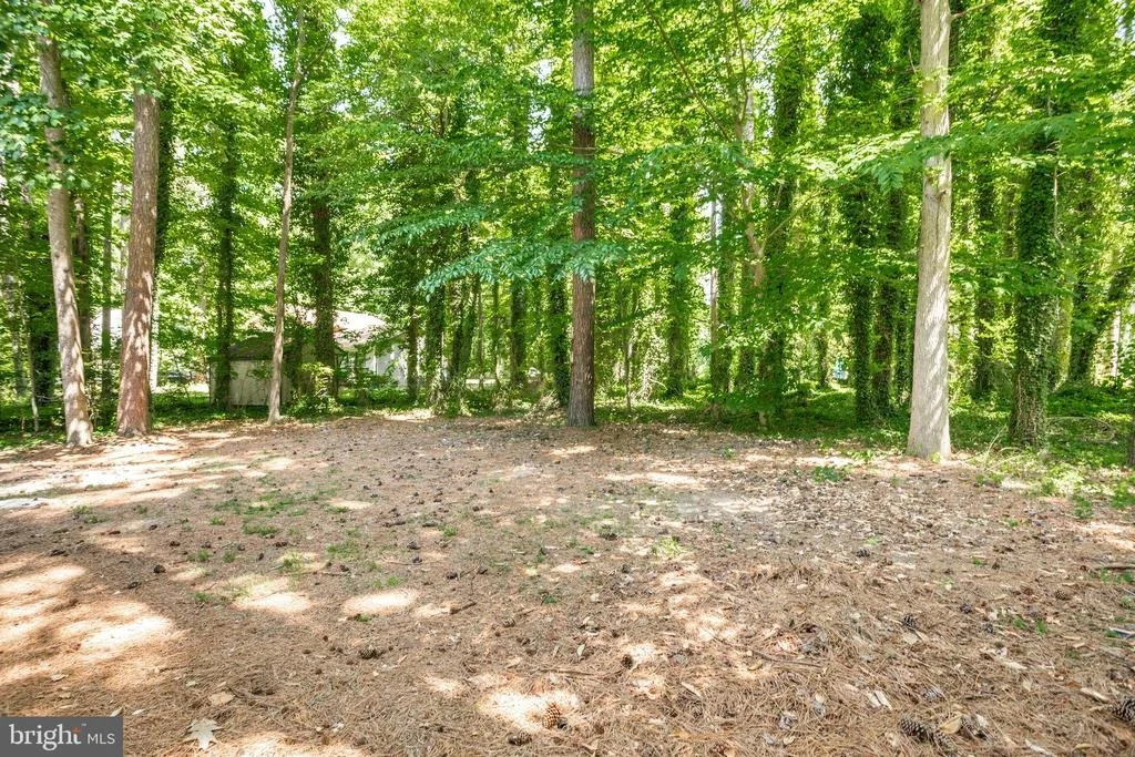 Photo of 730 OX BOW LANE
