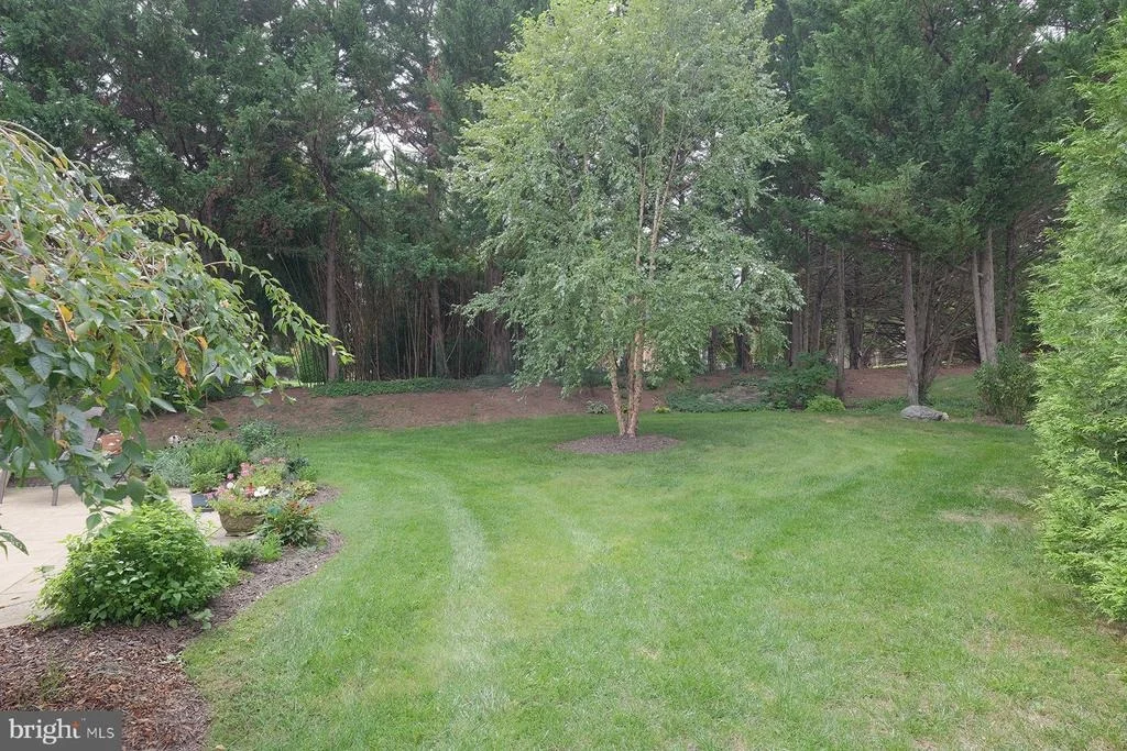 Photo of 18705 DOVER DRIVE
