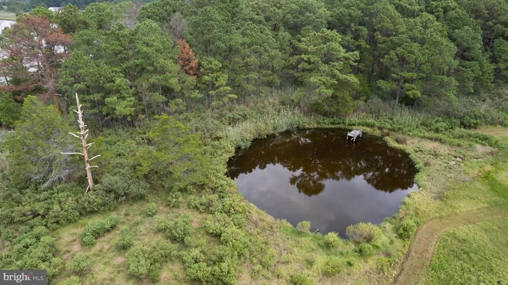 Photo of 1001 WAGNER POINT ROAD