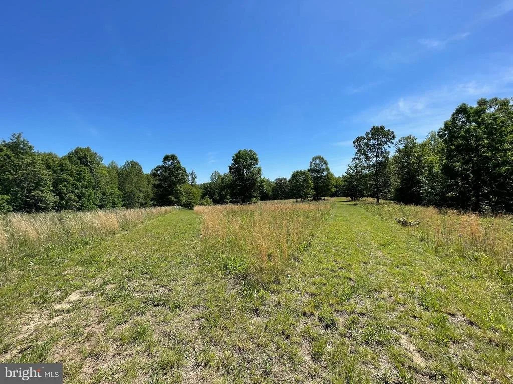 Photo of 1225 MIDDLE RIVER ROAD