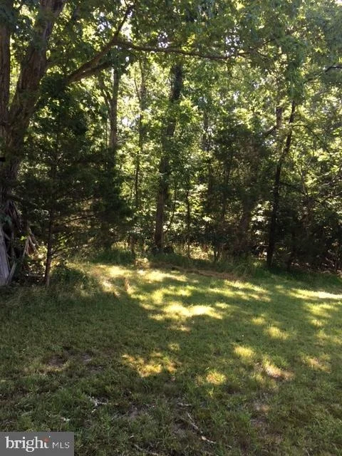 Photo of 20393 CEDAR GROVE