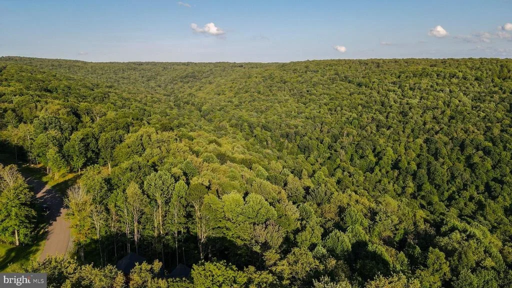 Photo of Lot 168 FORK RUN TRAIL