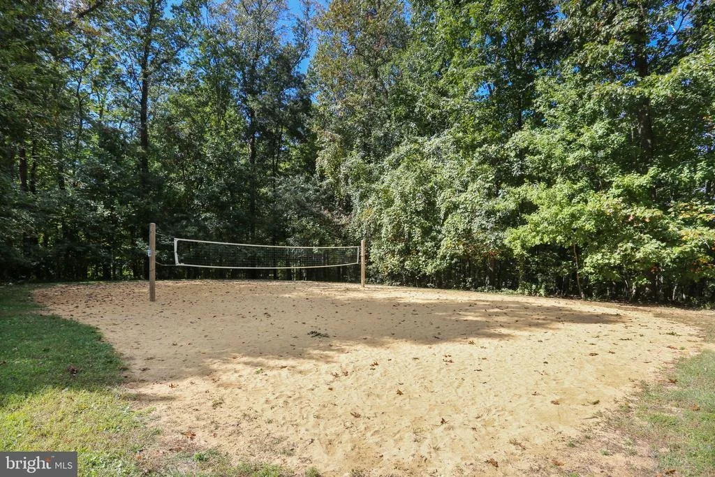 Photo of 19101 FOREST BROOK ROAD
