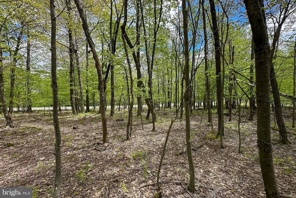 Photo of Lot 100 SNOWHAVEN LANE