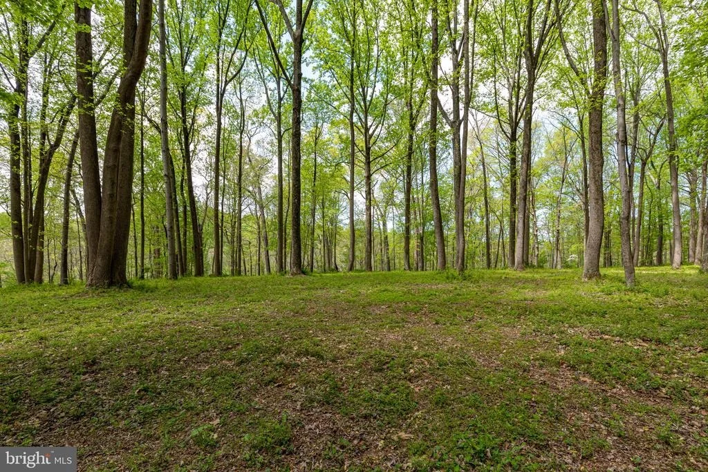 Photo of 2310 PUTNAM ROAD
