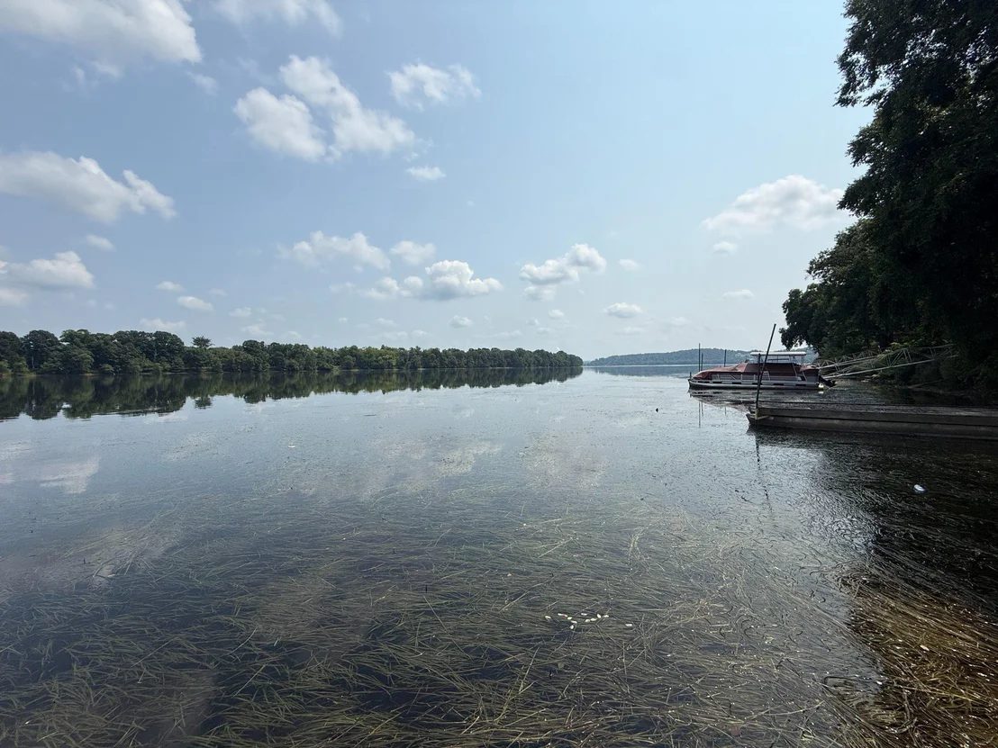 Photo of 47 BEECH ISLAND