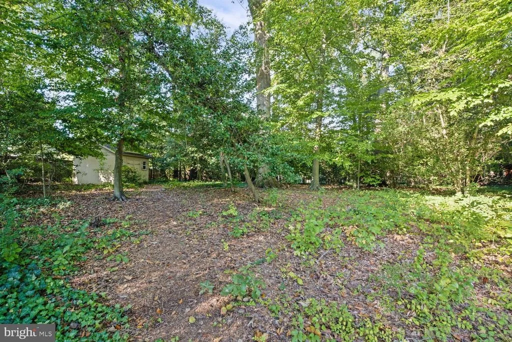 Photo of 9408 FOREST HAVEN DRIVE