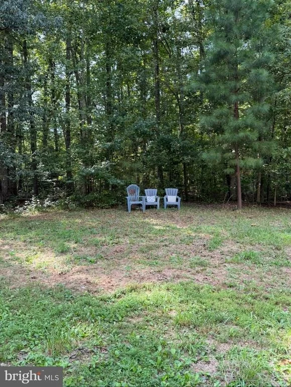 Photo of 11016 FOREST HOLLOW DRIVE