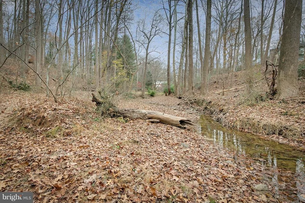 Photo of 12505 TWO FARM DRIVE