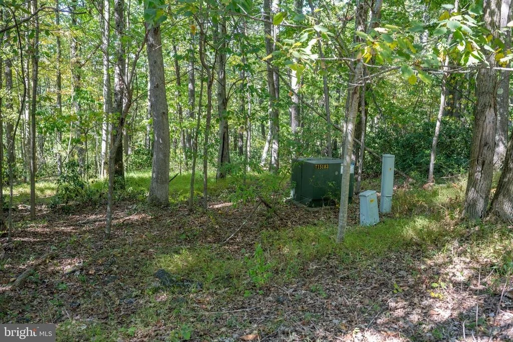 Photo of LOT 9 NORMAS WAY