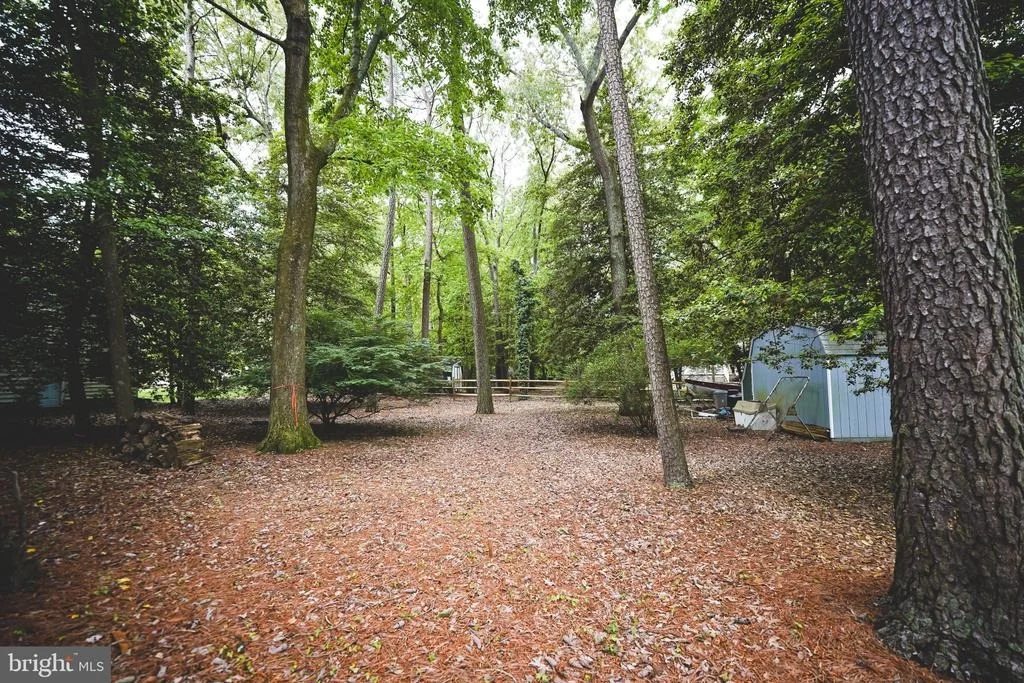 Photo of 29745 JACKSON ROAD