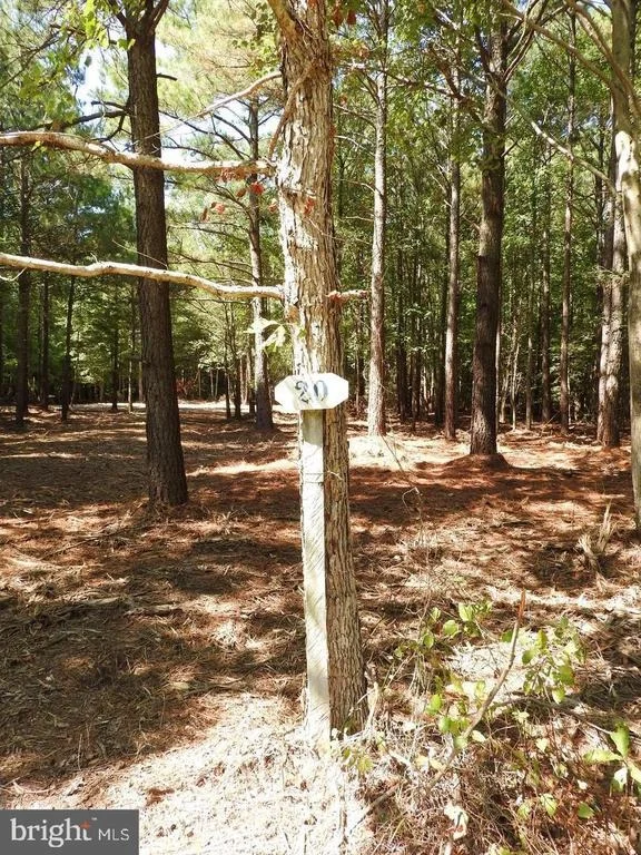 Photo of 5226 HERON ROAD