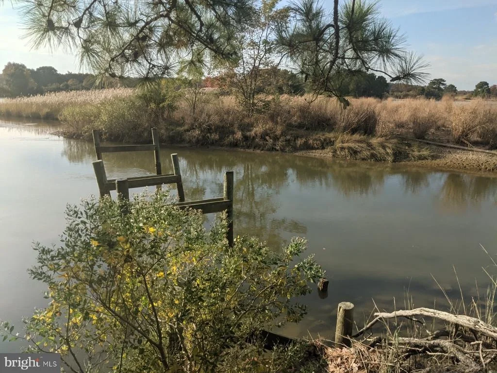 Photo of 50810 HOLLY POINT
