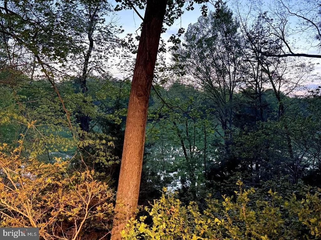 Photo of 20 THE PALISADES
