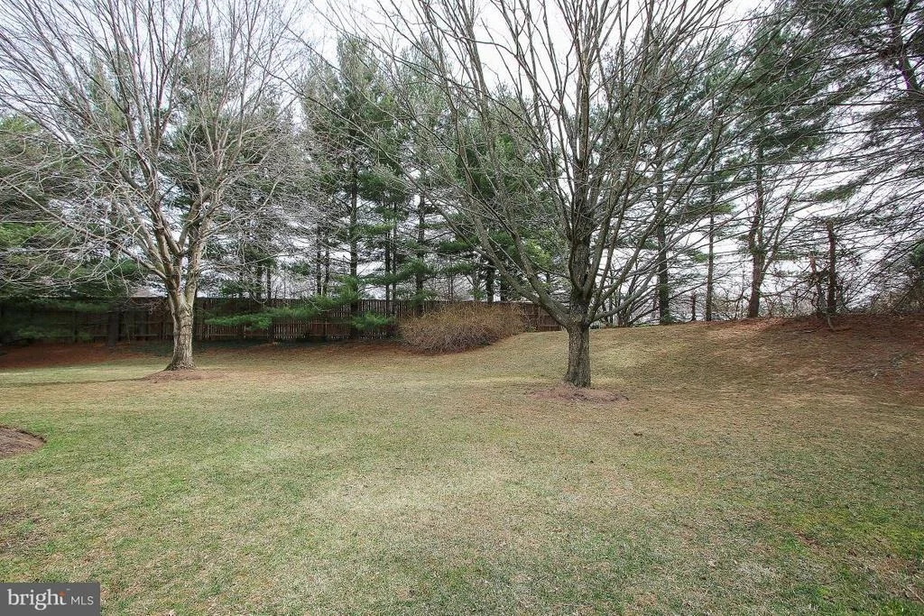 Photo of 11705 SPLIT TREE CIRCLE