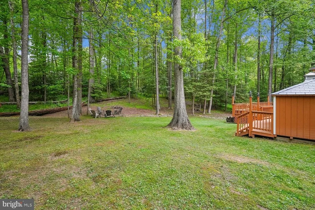 Photo of 11732 STUART MILL ROAD