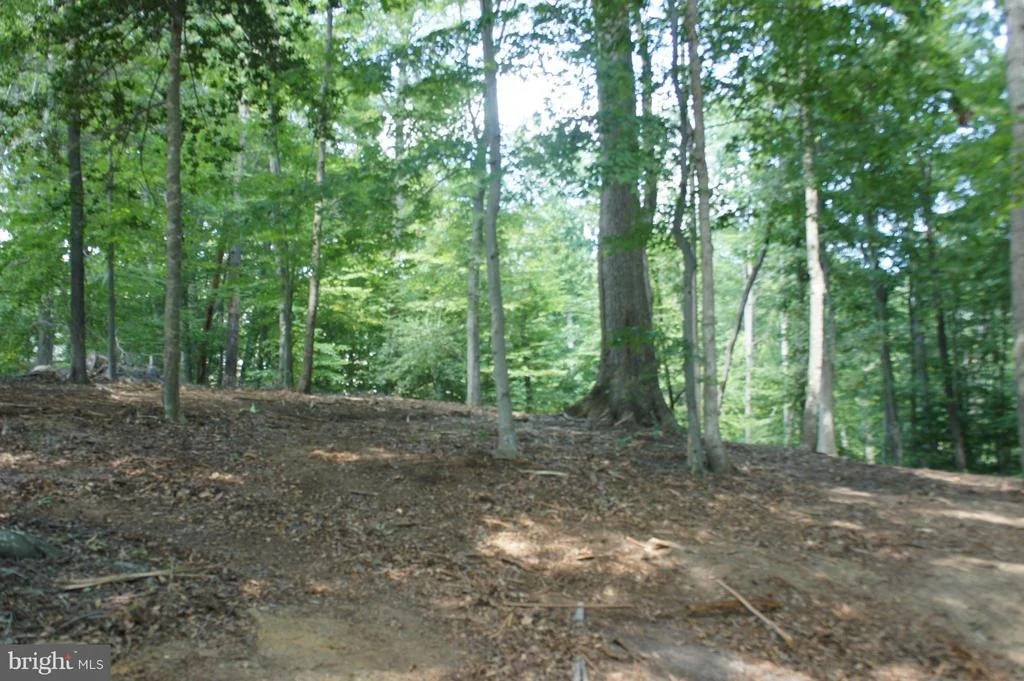 Photo of 426 COMSTOCK DRIVE