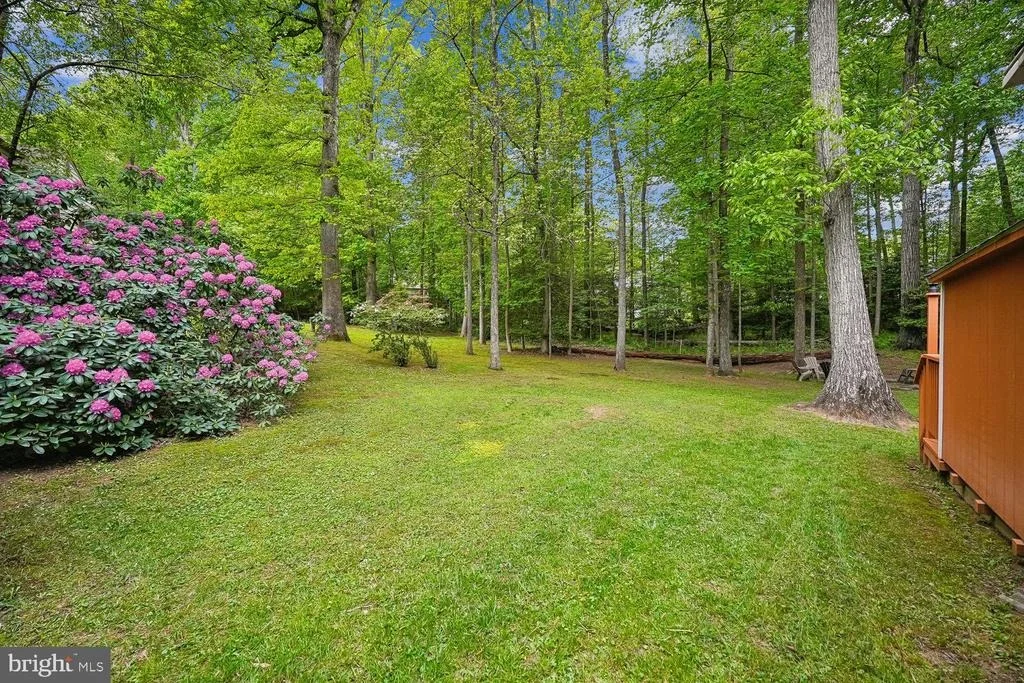 Photo of 11732 STUART MILL ROAD