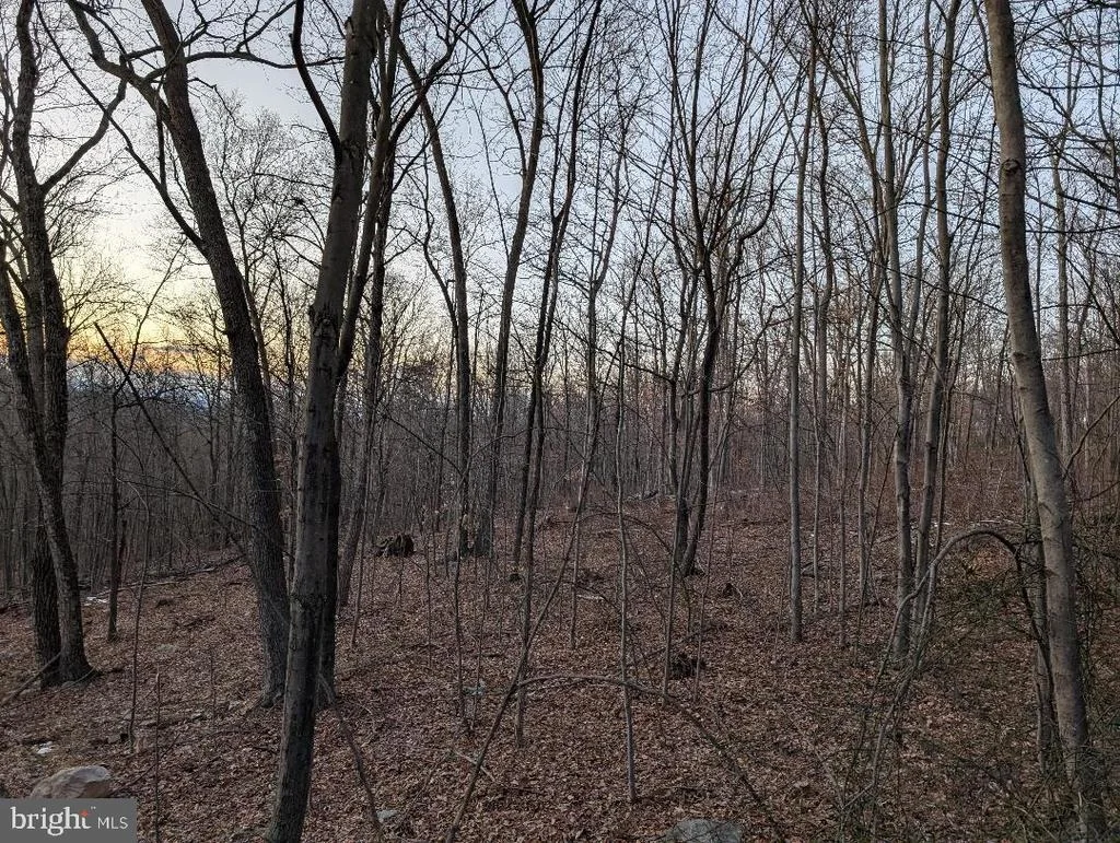 Photo of 11430 NATIONAL PIKE