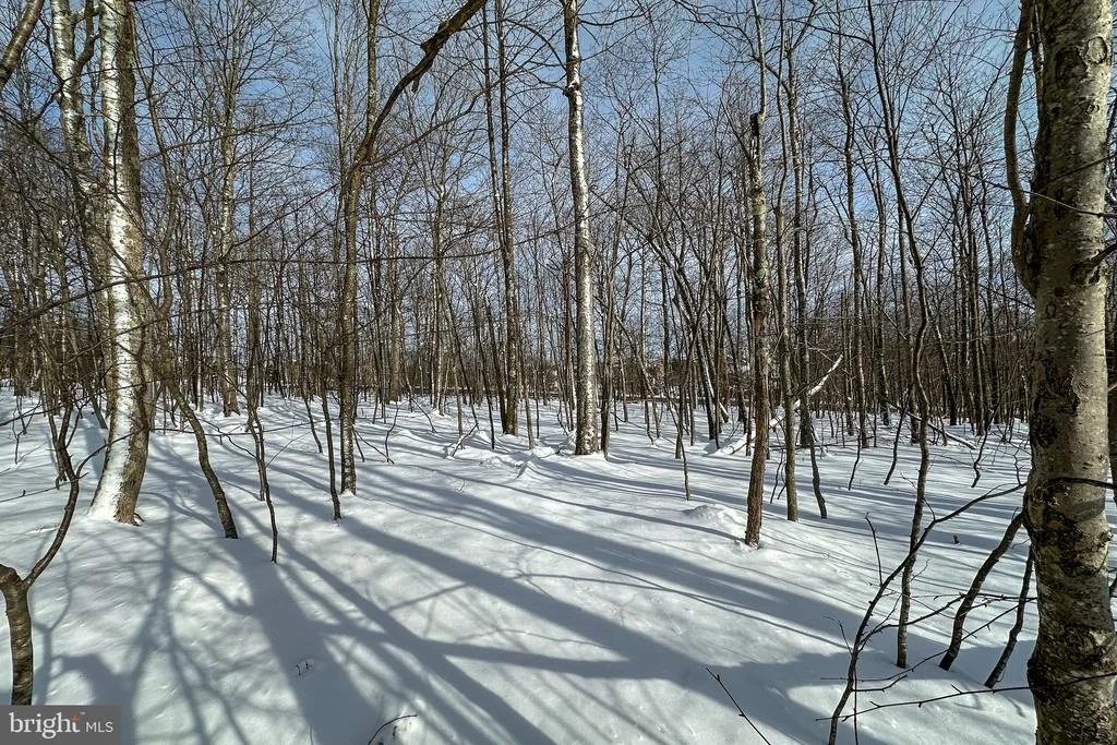 Photo of Lot 100 SNOWHAVEN LANE