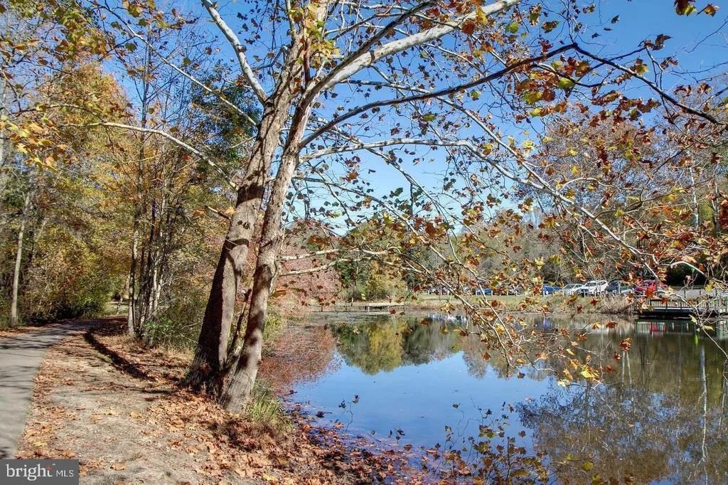 Photo of 13742 CABELLS MILL DRIVE
