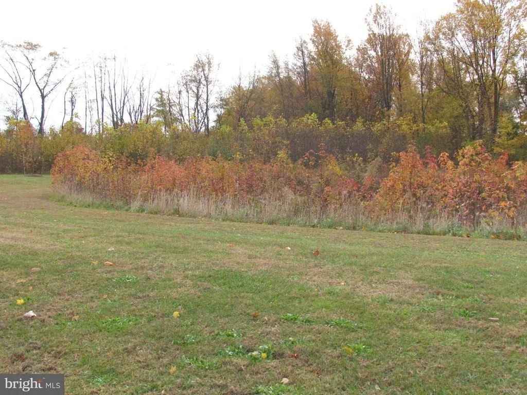 Photo of 585 WHITETAIL RUN