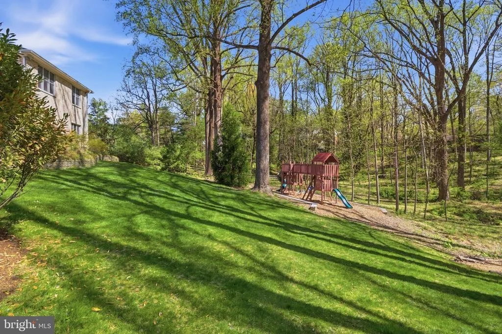 Photo of 9703 MILL RACE ESTATES DRIVE