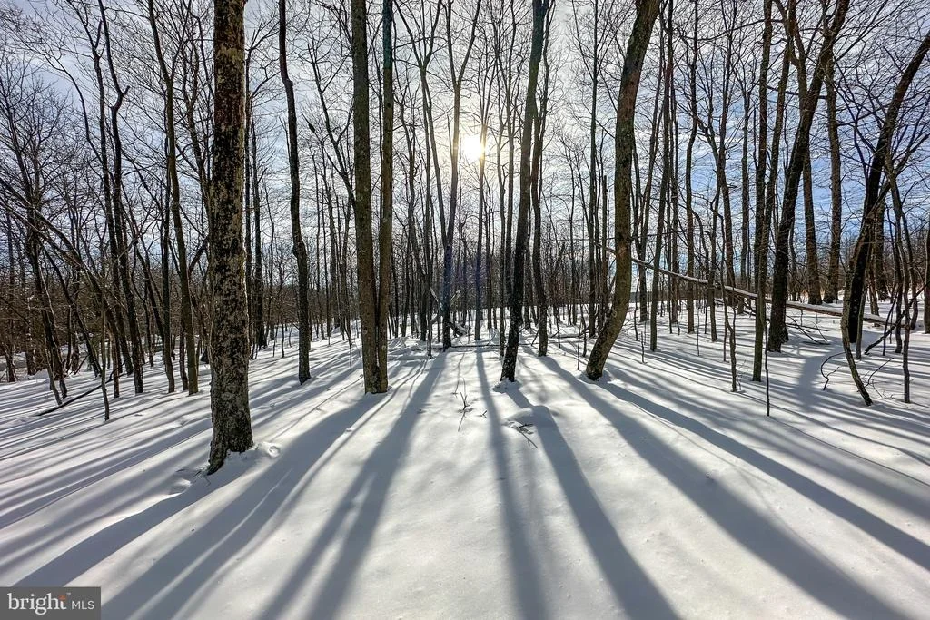 Photo of Lot 100 SNOWHAVEN LANE