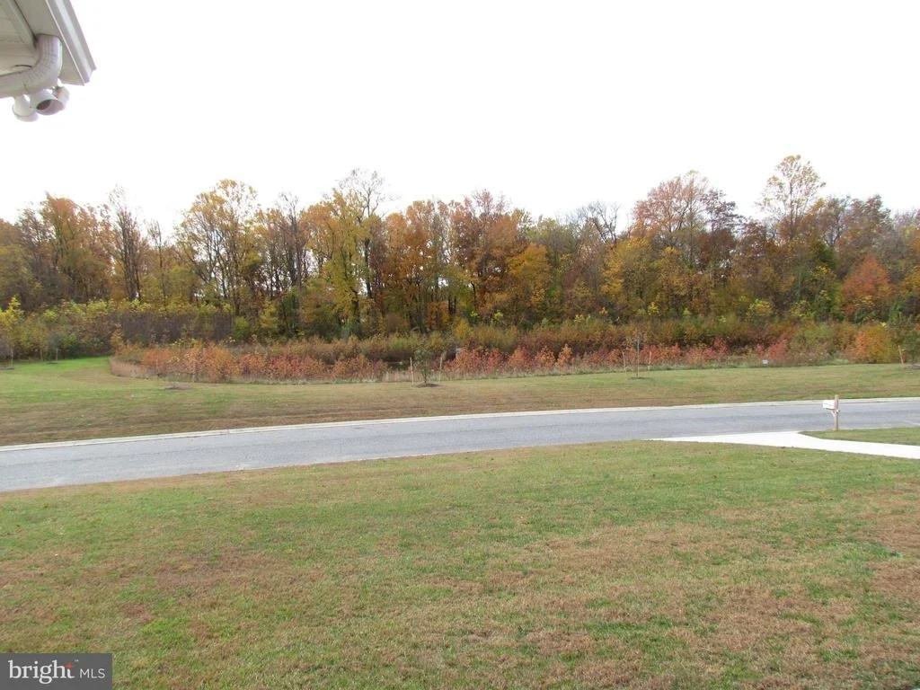 Photo of 585 WHITETAIL RUN