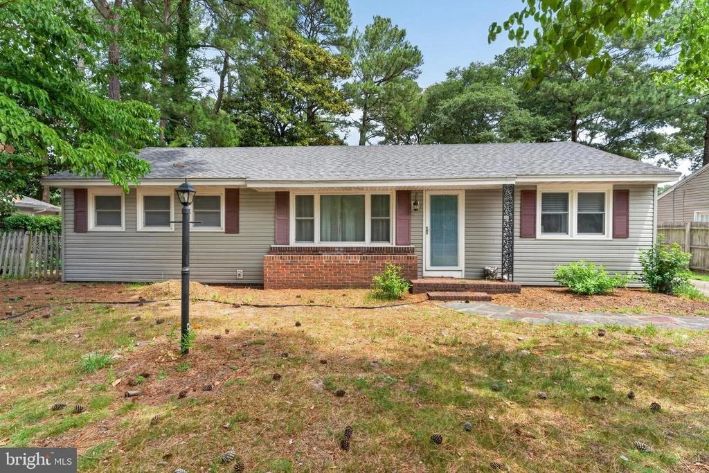 Photo of 509 LOBLOLLY LANE