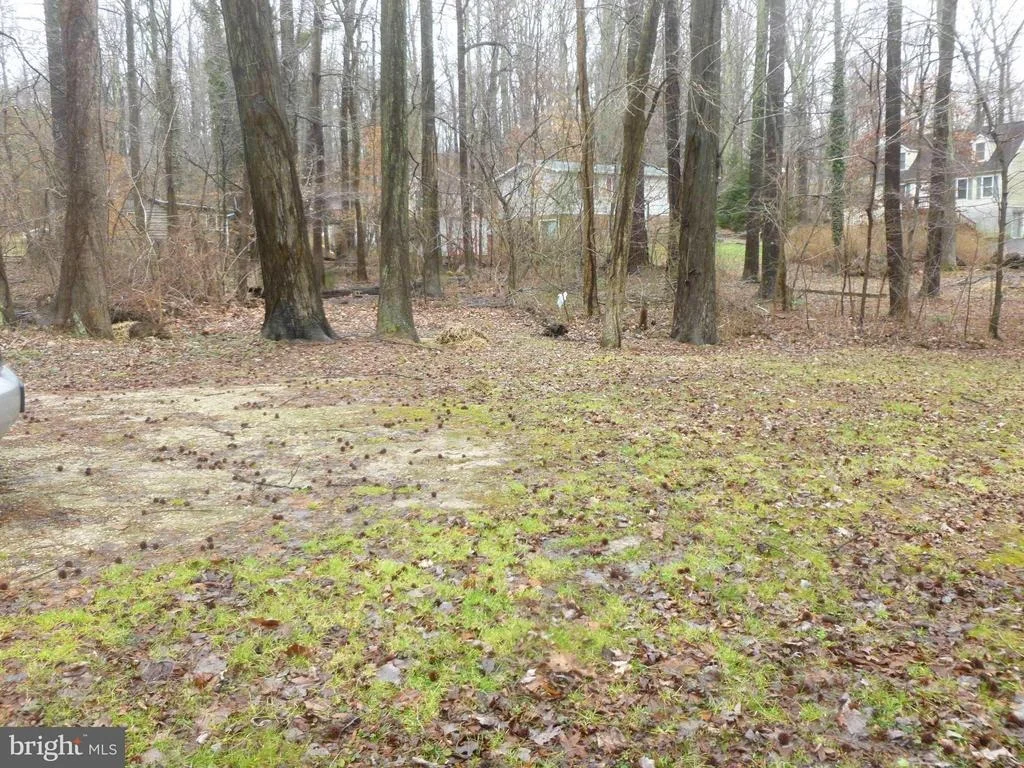 Photo of 6015 POPLAR ROAD