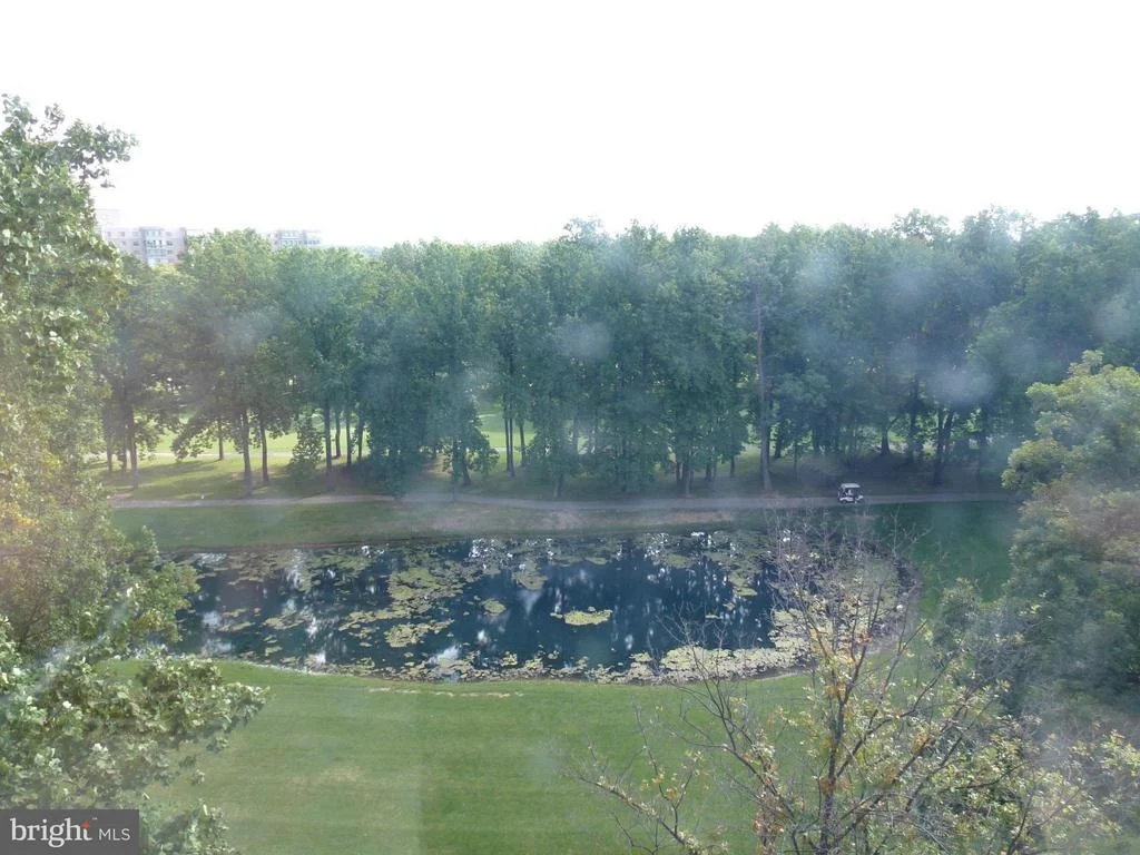 Photo of Unit 2902 at 15107 INTERLACHEN DRIVE