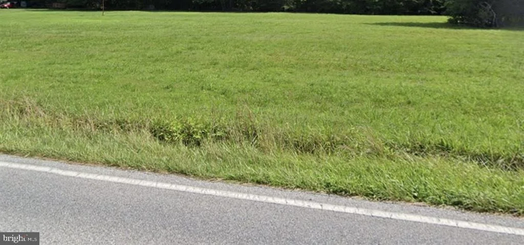 Photo of BUMPY OAK ROAD