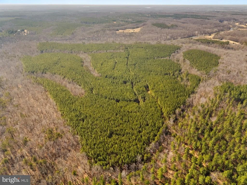 Photo of OFF SNAKE CASTLE ROAD