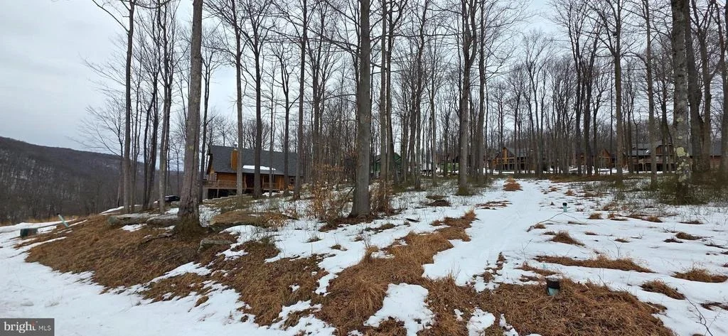 Photo of Unit 50 at FORK RUN TRAIL